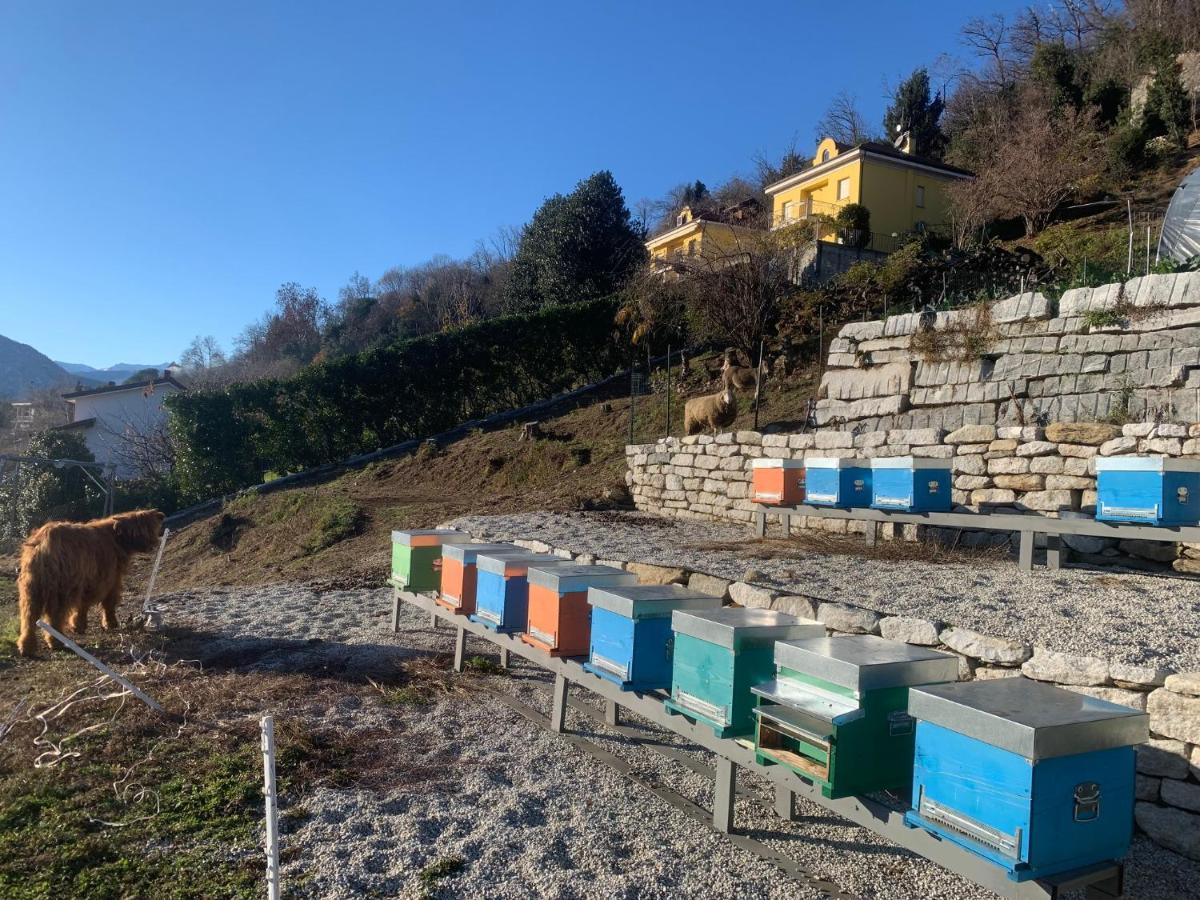 Sole Apartment Verbania Bagian luar foto