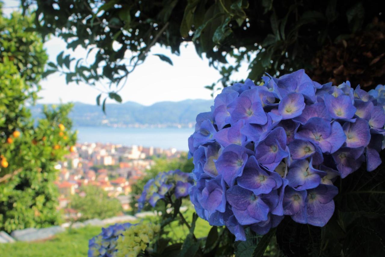 Sole Apartment Verbania Bagian luar foto